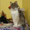 Отзыв от Елизавета Анохина